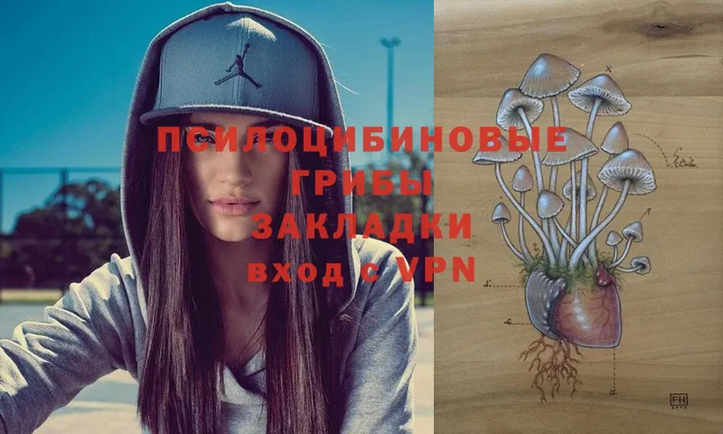 Псилоцибиновые грибы MAGIC MUSHROOMS  kraken   Алатырь 